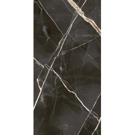 СТЕ.АБС.БЛЭК 60X120 РЕТ