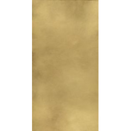 КОНТИНУУМ БР.ГОЛД 80X160 ШЛ