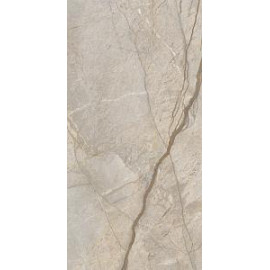 СТЕ.ЭЛЕГ.СИЛЬВЕР 60X120 РЕТ