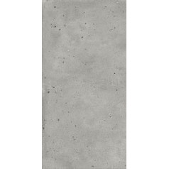 АВА.СИЛЬВЕР 60X120 РЕТ