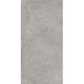 АВА.СИЛЬВЕР 60X120 РЕТ