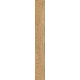 ЭТЕРНУМ РОВЕРЭ 20X160 РЕТ