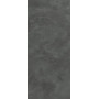КОНТИНУУМ ПЕТРОЛ 120X278