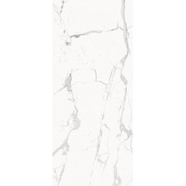 СТЕ.СТАТУАРИО УАЙТ 120X278