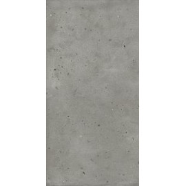АВА.АЙРОН 60X120 РЕТ