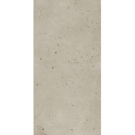 АВА.ДАСТ 60X120 РЕТ
