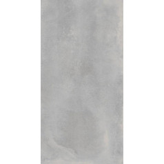 АСТРО СИЛЬВЕР 60X120 РЕТ