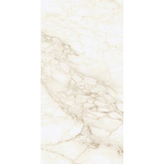 МИКЕЛАНДЖЕЛО ВОРМ 60X120 РЕТ