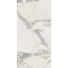 МИКЕЛАНДЖЕЛО КОЛД 60X120 РЕТ