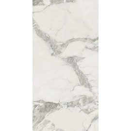 МИКЕЛАНДЖЕЛО КОЛД 60X120 РЕТ