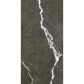 МИКЕЛАНДЖЕЛО ДАРК 60X120 РЕТ