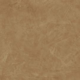 Thesis Senape 60x60/Тезис Сенапе 60x60 