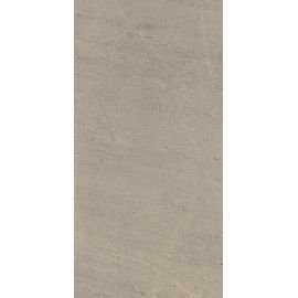 Wise Silver Grey Ret 60х120/Вайз Сильвер Грей Рет 60х120 