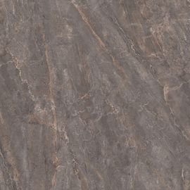 SG842002R Парнас пепельный лаппатированный обрезной 80x80 керамический гранит