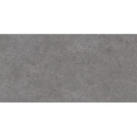DL501000R Фондамента серый темный обрезной 60x119,5 керамический гранит