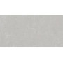 DD593300R Про Фьюче серый светлый обрезной 60x119,5 керамогранит DD593300R Про Фьюче серый светлый обрезной 60x119,5 керамогранит