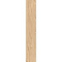 SG516200R Олива бежевый обрезной 20*119.5 керамический гранит