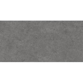 DL501100R Фондамента пепельный обрезной 60x119,5 керамический гранит